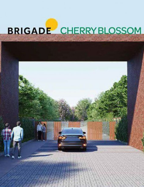 popup banner image